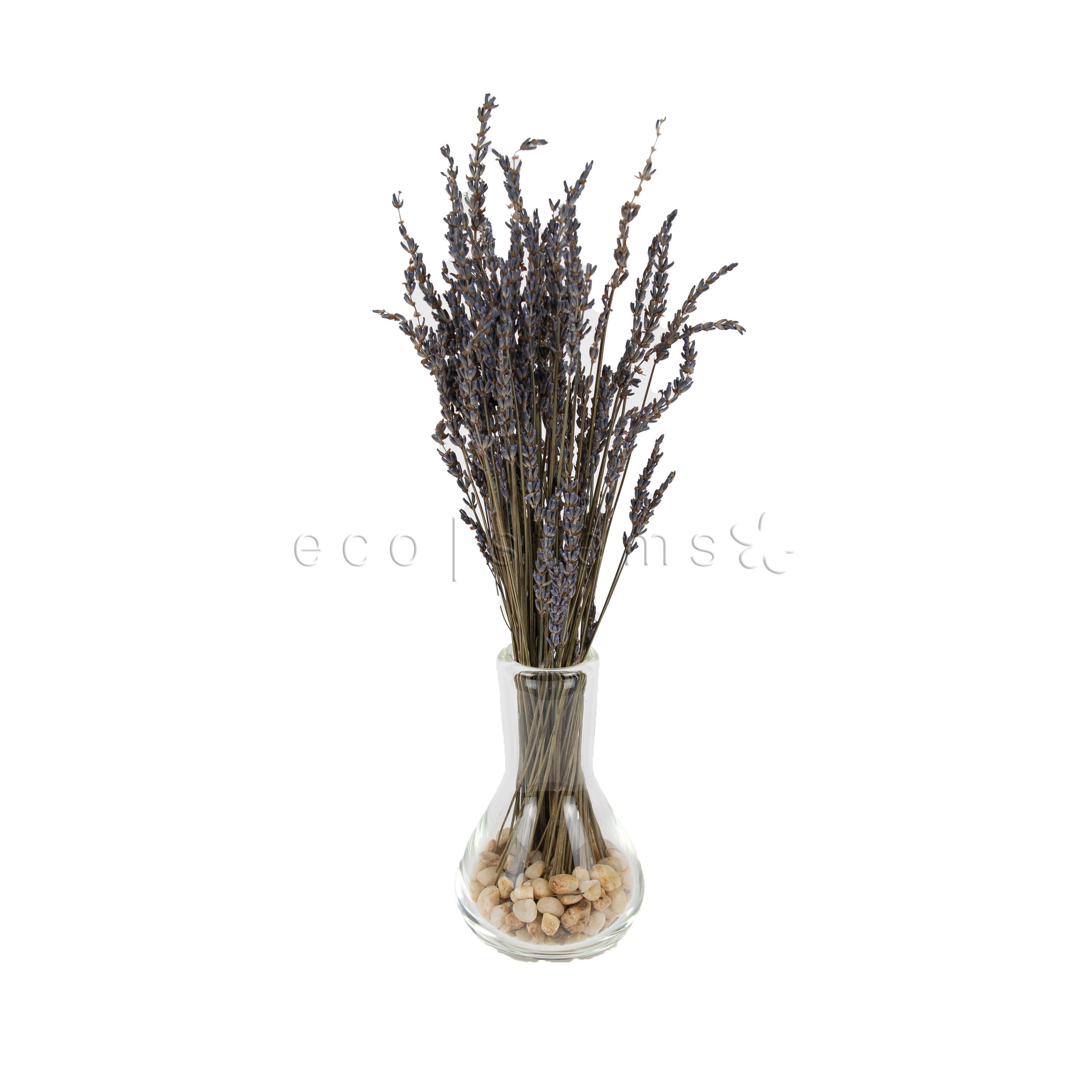 Dried Lavender Organic Fresh Flowers Vase Toronto