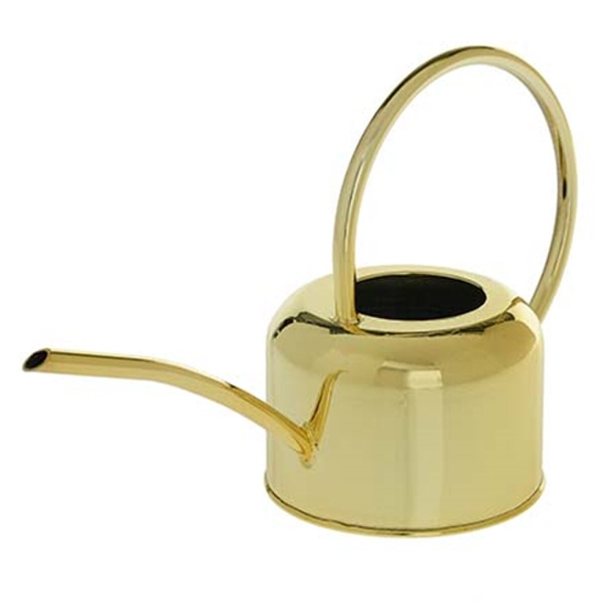 Small Gold-Toned Plant Watering Can