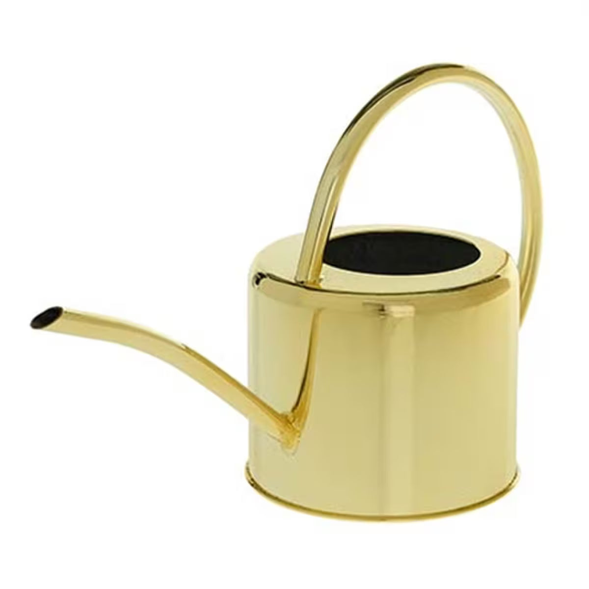 Large Gold-Toned Plant Watering Can