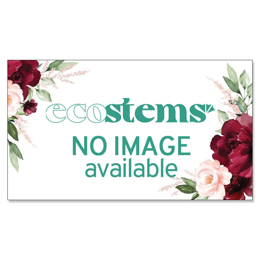 Ethical Florist's Special Creation Fresh Flowers Arrangement Toronto Ontario Delivery