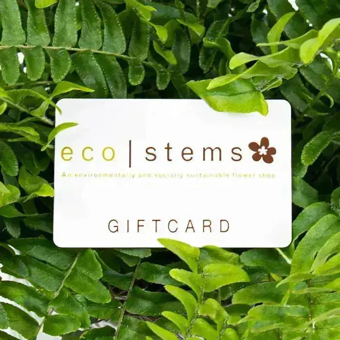 EcoStems Toronto digital gift card with white background and green and brown text, placed among lush green leaves, perfect for sustainable flower gifts.