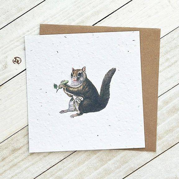 Square plantable greeting card featuring a detailed illustration of a squirrel holding a leaf, with a brown envelope behind, eco-friendly design.