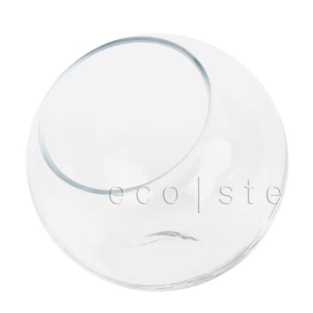 Studio Terrarium Glass Vase Toronto