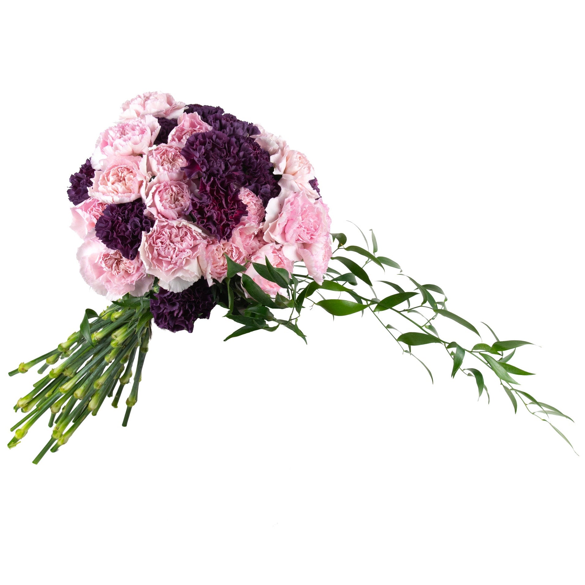 Dianthus Sphere Fresh Flowers - Bouquets & Vase Arrangements