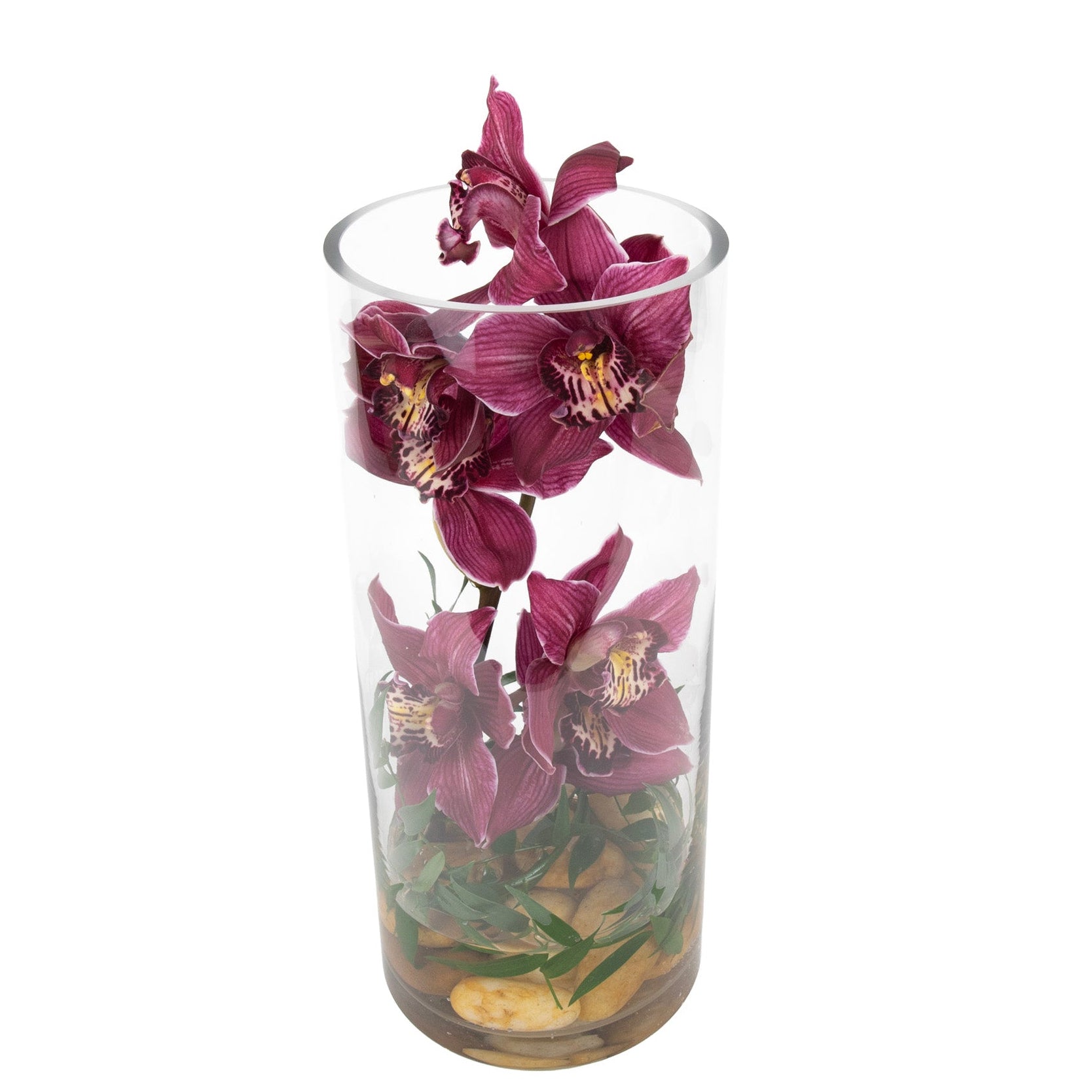 Cymbidium Orchids Cylinder Floral Art