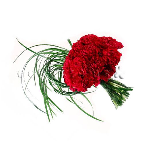 Dianthus Sphere Fresh Flowers Arrangement Toronto