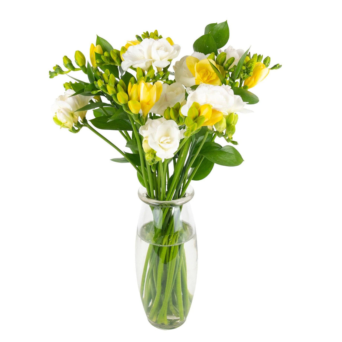 Elegant bouquet of white and yellow freesias with green leaves in a clear glass vase, perfect for celebrations and gifts.