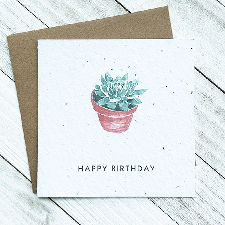 Happy Birthday Succulent Plantable Greeting Card
