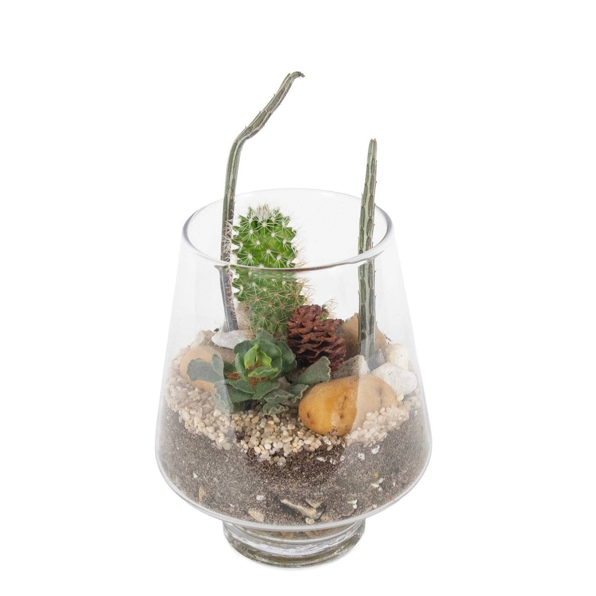Glass terrarium with layered soil, small succulents, rocks, and pinecones, designed for indoor plant display, SKU: LightshadeTerr6X7In2Plt