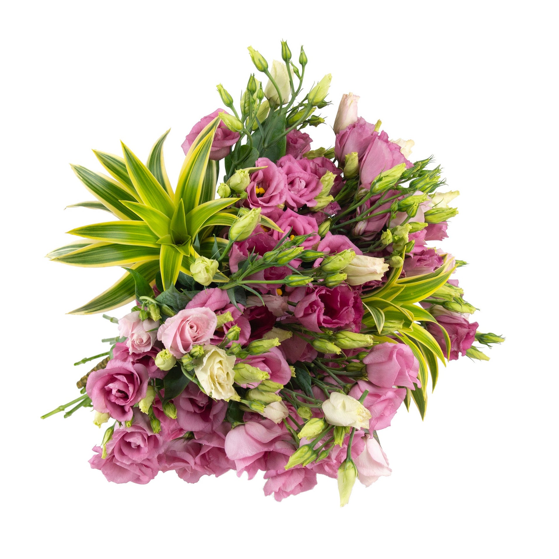 Lisianthus Fresh Flowers - Bouquets & Vase Arrangements