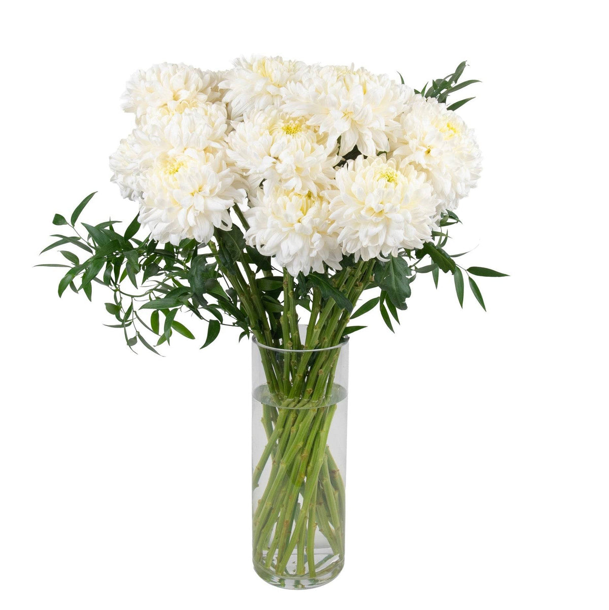Elegant bouquet of white chrysanthemum flowers with green leaves in a clear glass vase, perfect for celebrations and gifts