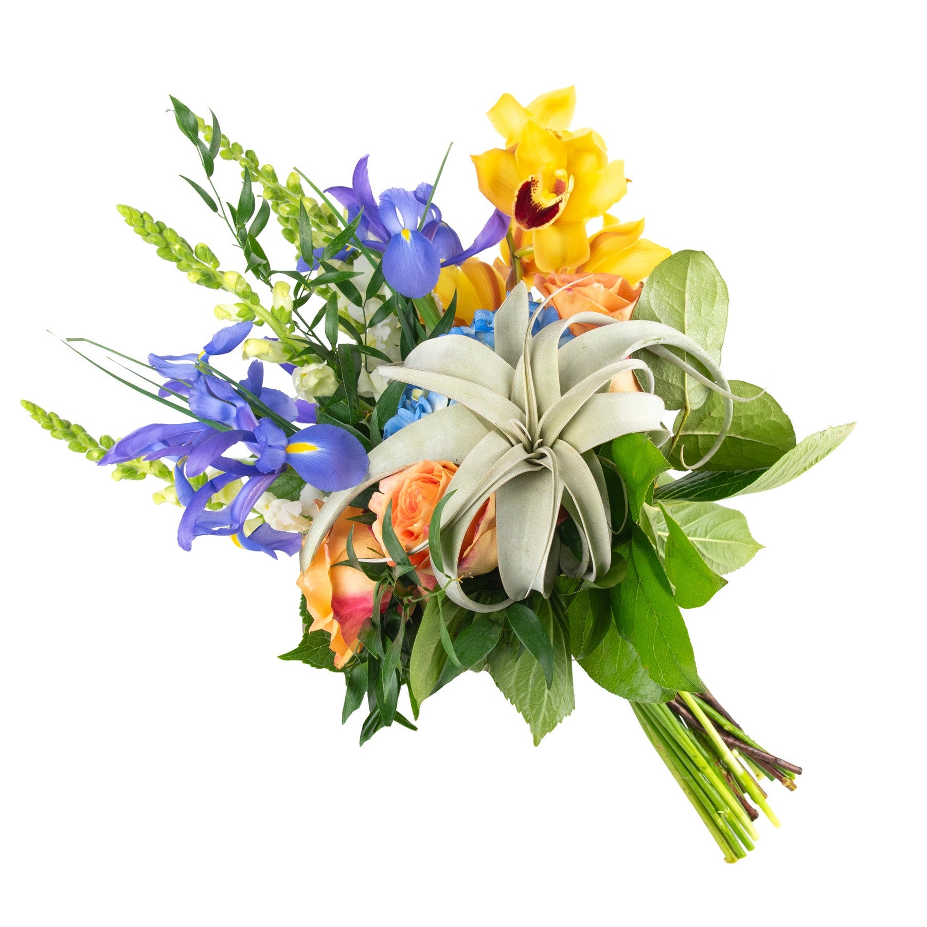 Mixed Fresh Flowers with Xerographica - Bouquets & Vase Arrangements