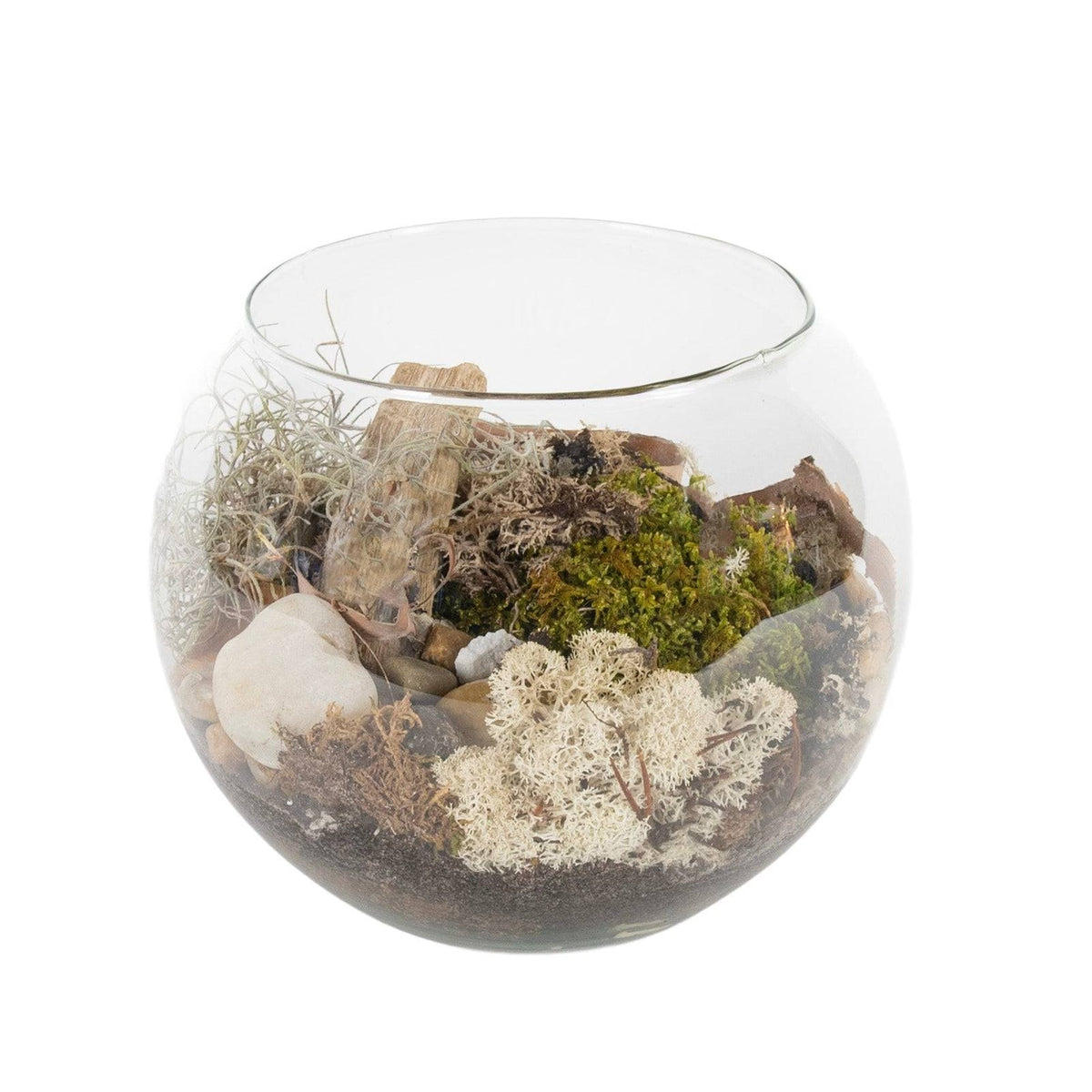 Clear glass moss terrarium with lush green moss, small wood pieces, and natural elements inside, perfect for indoor decor