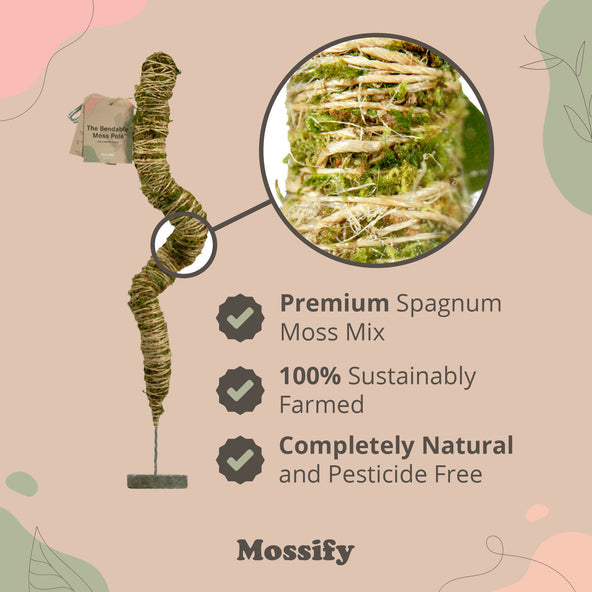 Bendable Moss Pole (Pins Included)