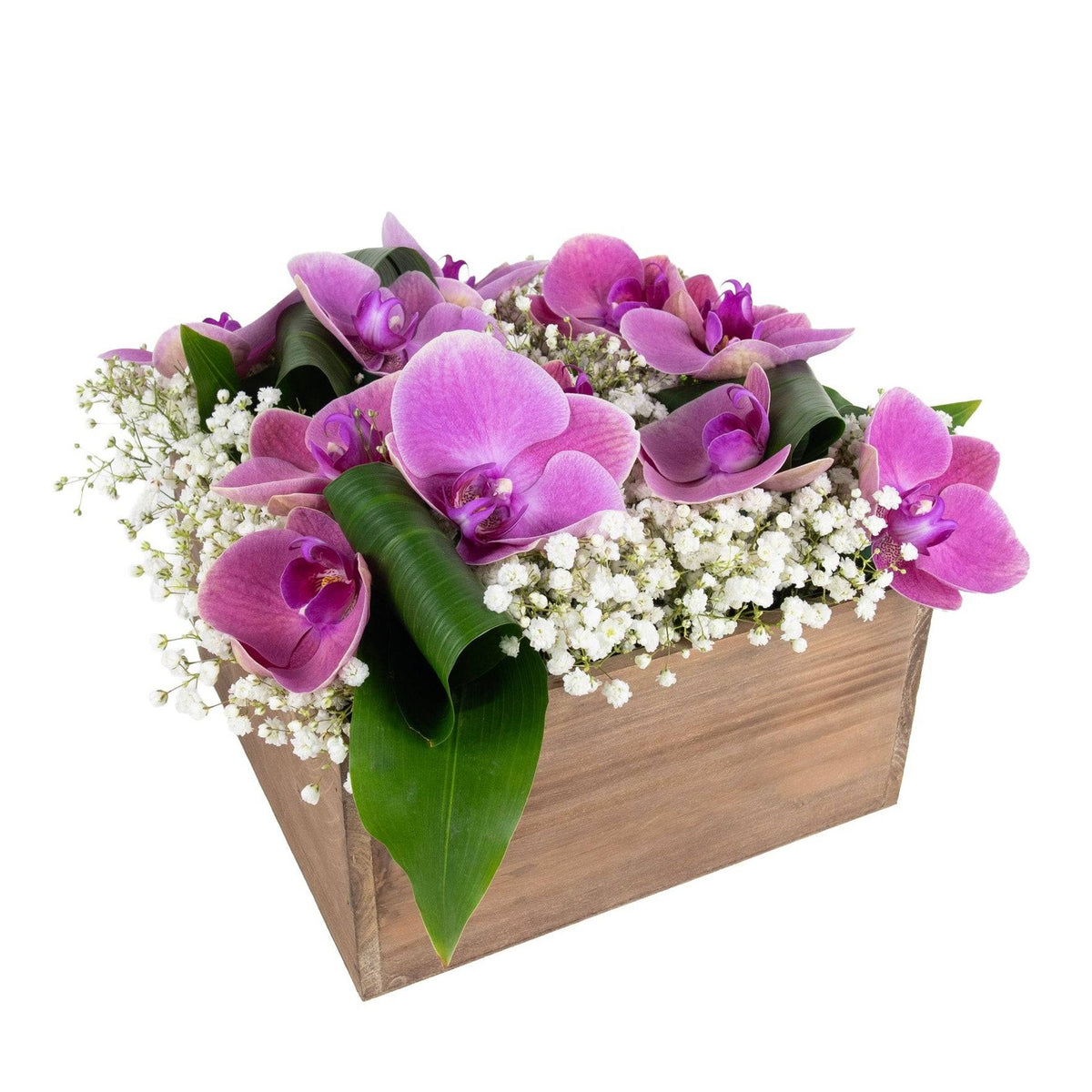 Elegant floral arrangement with pink orchids, white baby's breath, and lush green leaves in a wooden box for special occasions