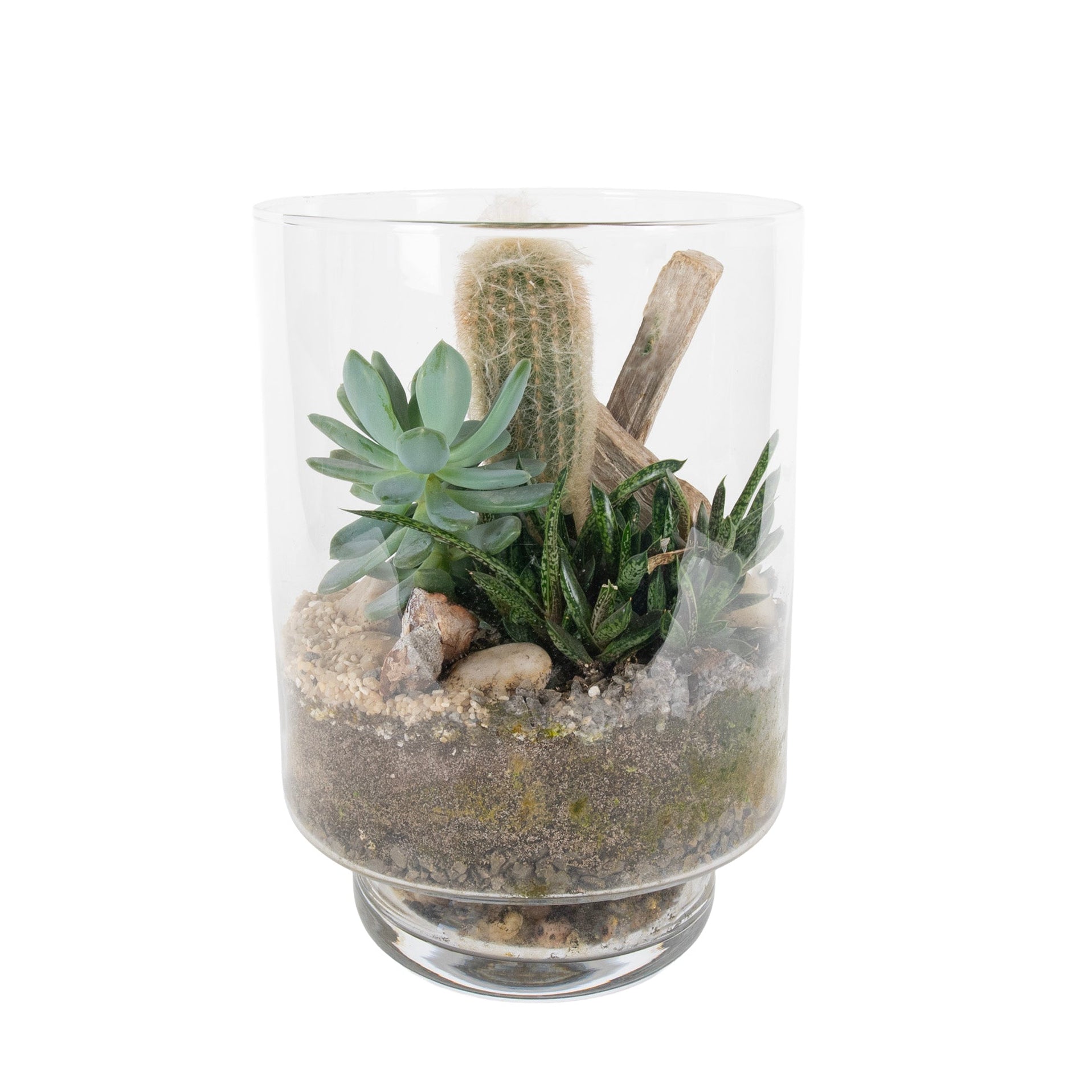Pillar Desert Glass Terrarium