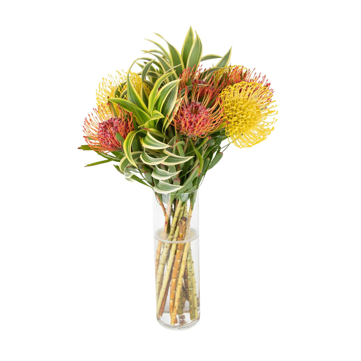 Vase arrangement of vibrant yellow, orange, and red pincushion protea flowers with green foliage in a clear glass vase