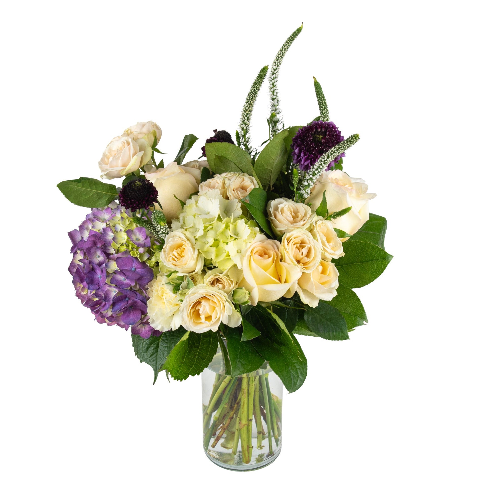 Fair-Trade Seasonal Fresh Flowers - Bouquets & Vase Arrangements