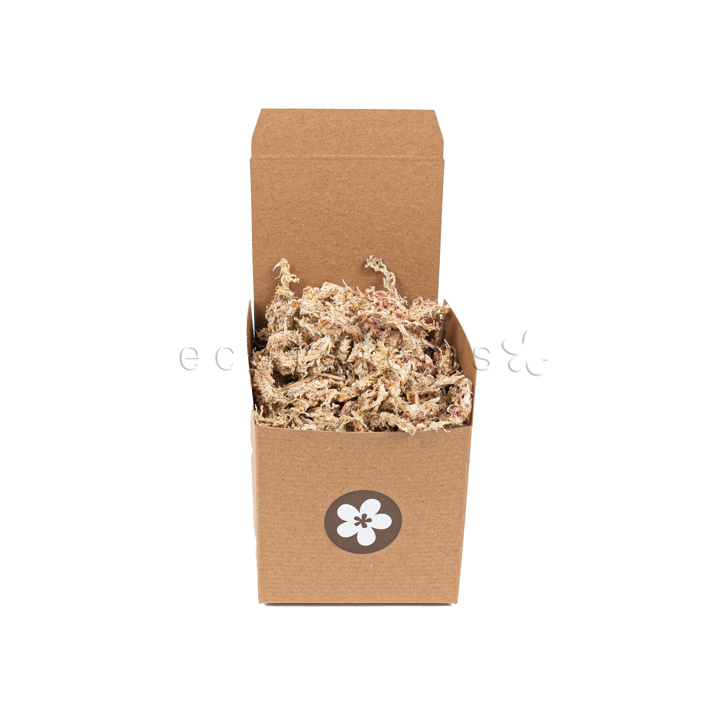 Sphagnum Moss Toronto