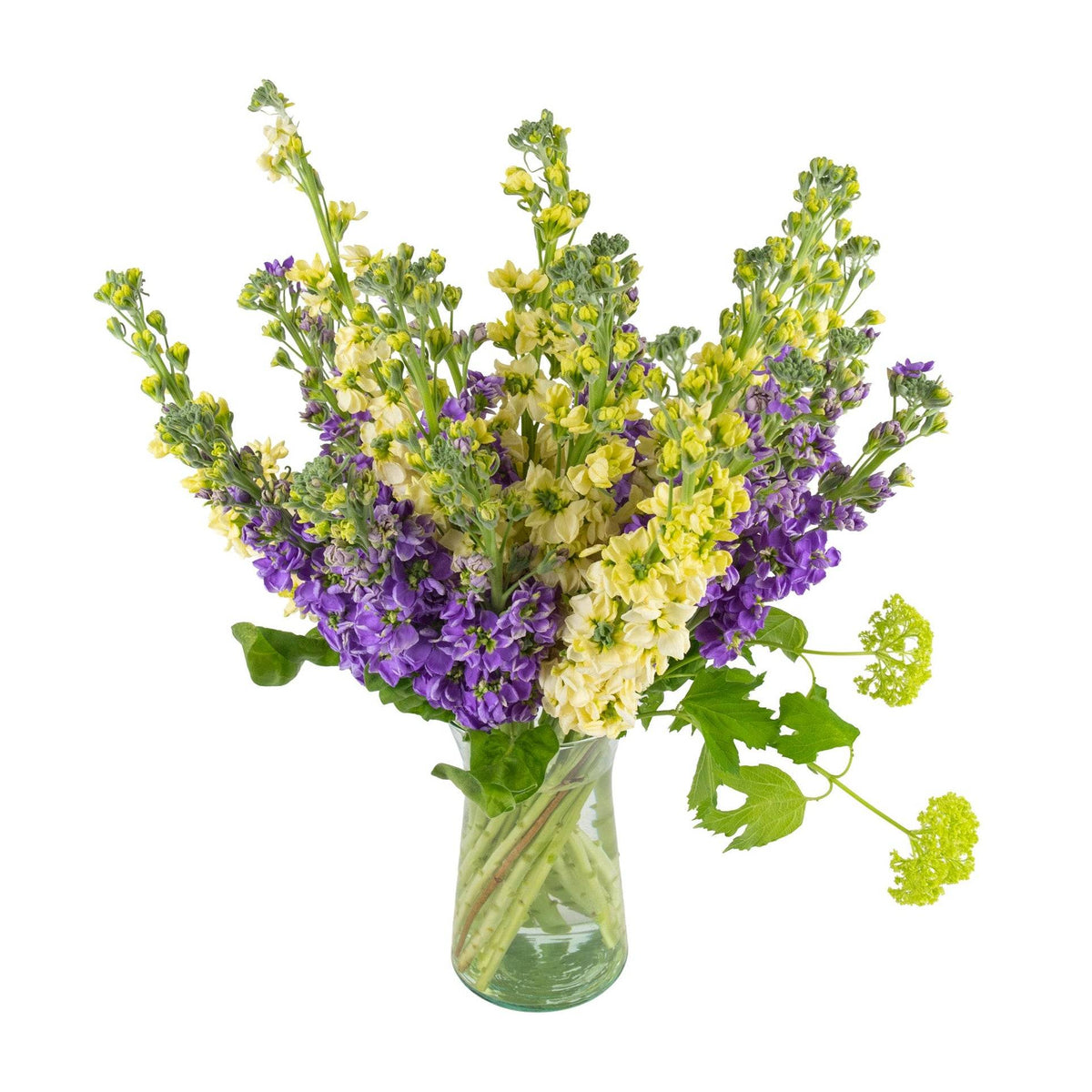 Vase filled with fresh yellow, purple, and white flowers, including stock and greenery, in a clear glass vase on white background