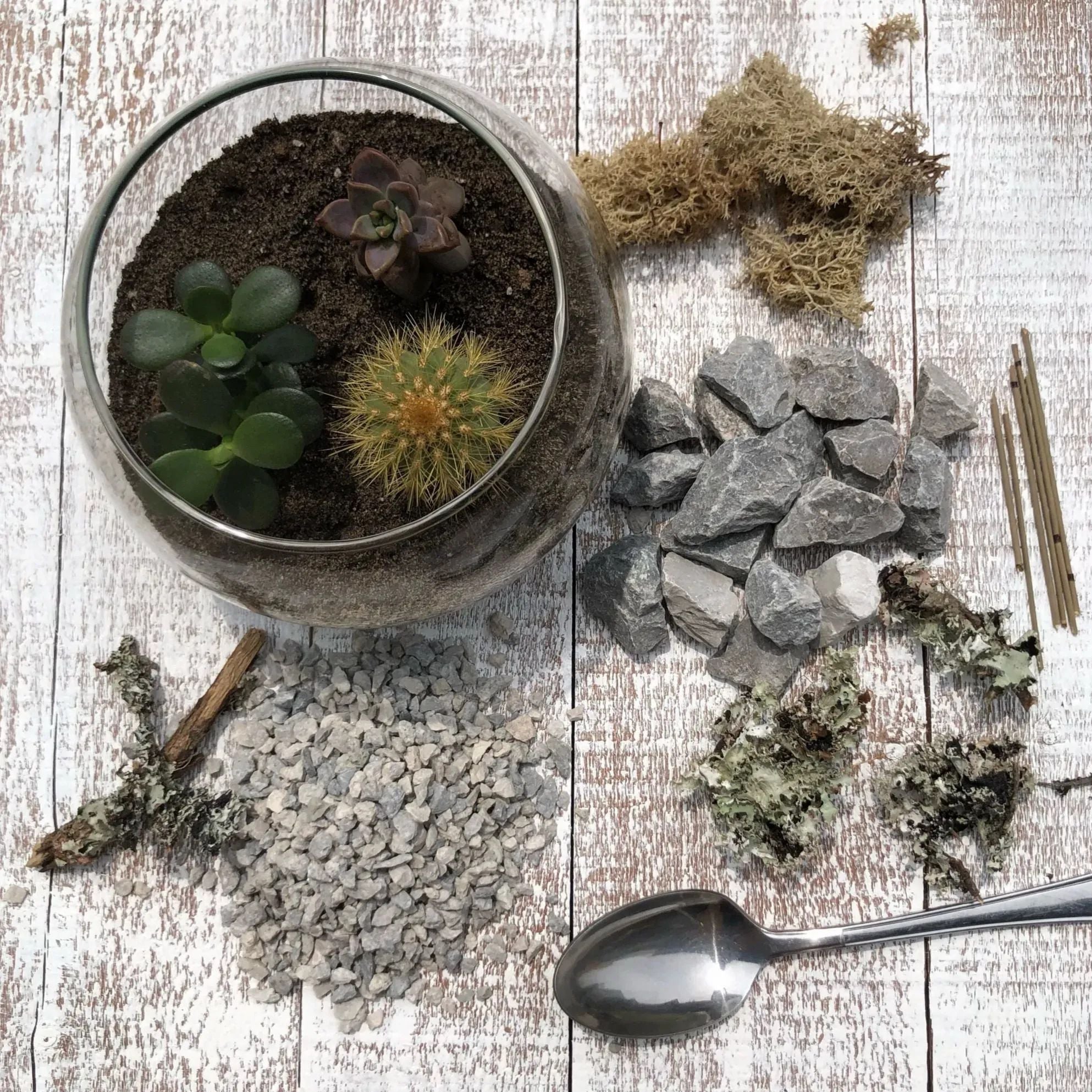 DIY Terrarium Workshop Toronto Toronto