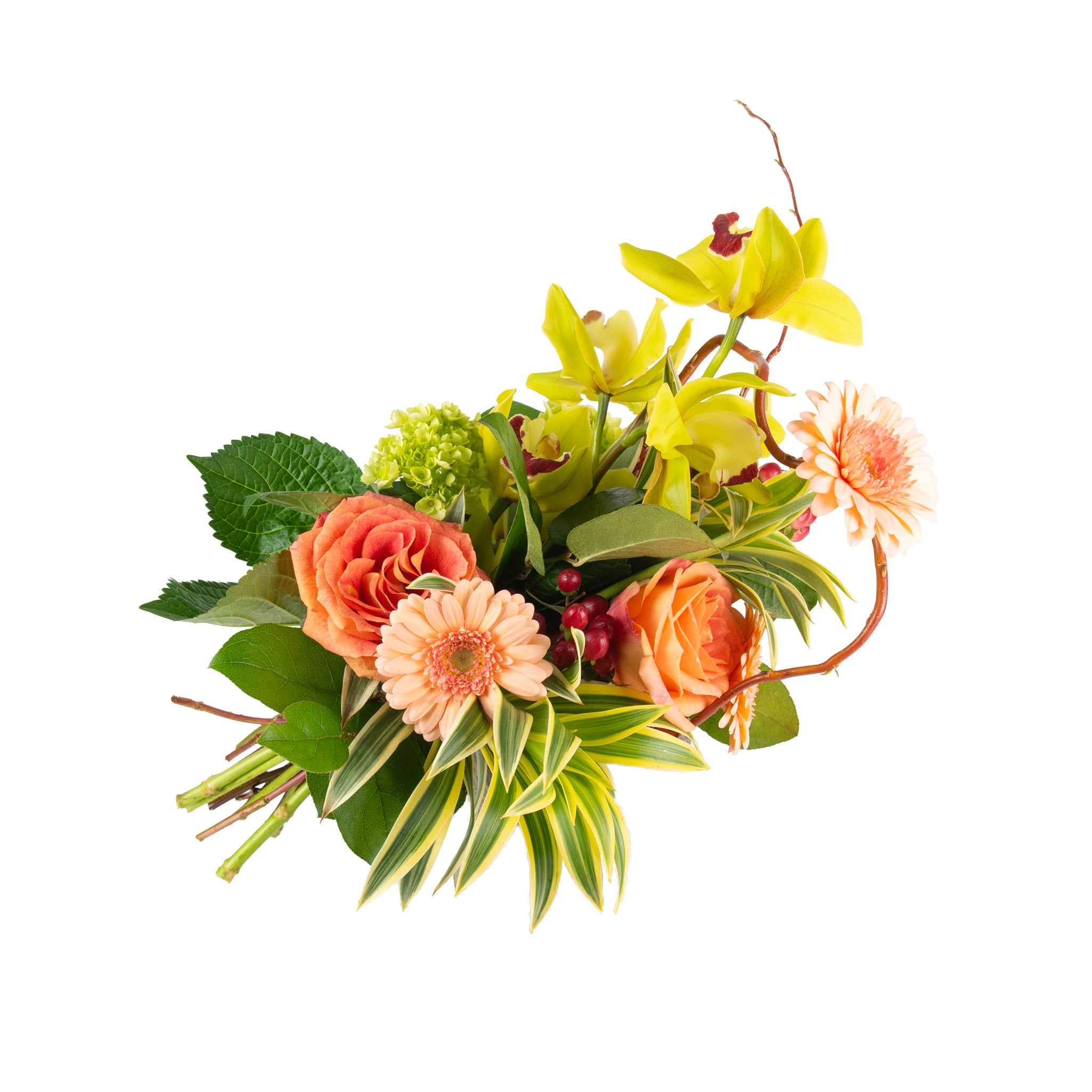 Red-Coral-Green Seasonal Fresh Flowers - Bouquets & Vase Arrangements