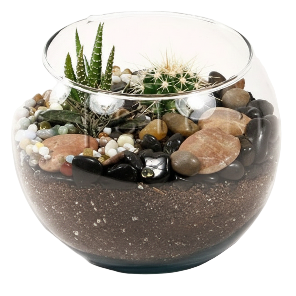 Fishbowl Desert Glass Terrarium