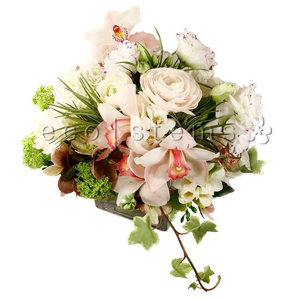 Mixed Fresh Flowers Arrangement with Air Plants Toronto