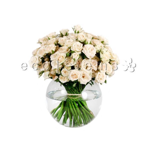 Mini-Roses Fresh Flowers Arrangement Toronto