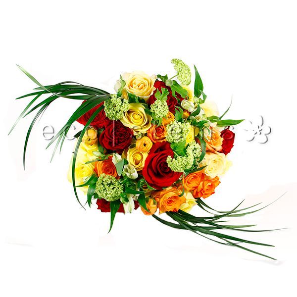 Rose Fresh Flowers Arrangements by the Dozen Toronto