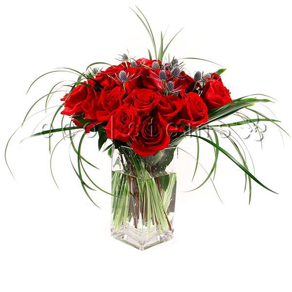 Rose Fresh Flowers Arrangements by the Dozen Toronto Ontario Delivery