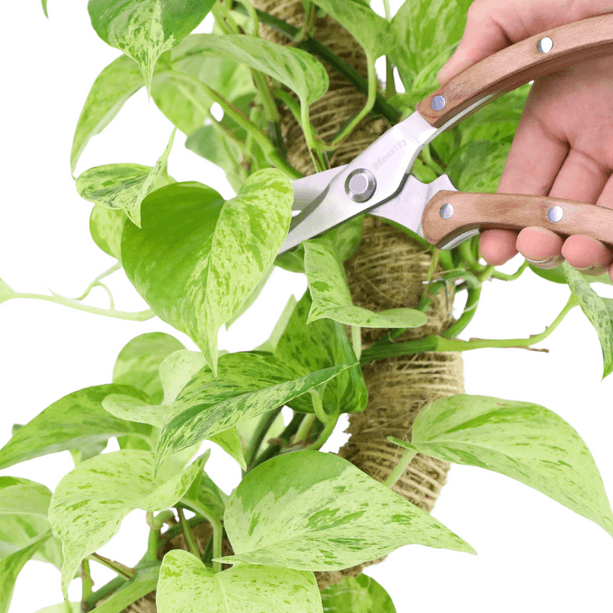 Slim Stainless Steel Garden Utility Shears