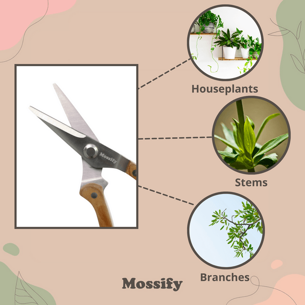 Slim Stainless Steel Garden Utility Shears