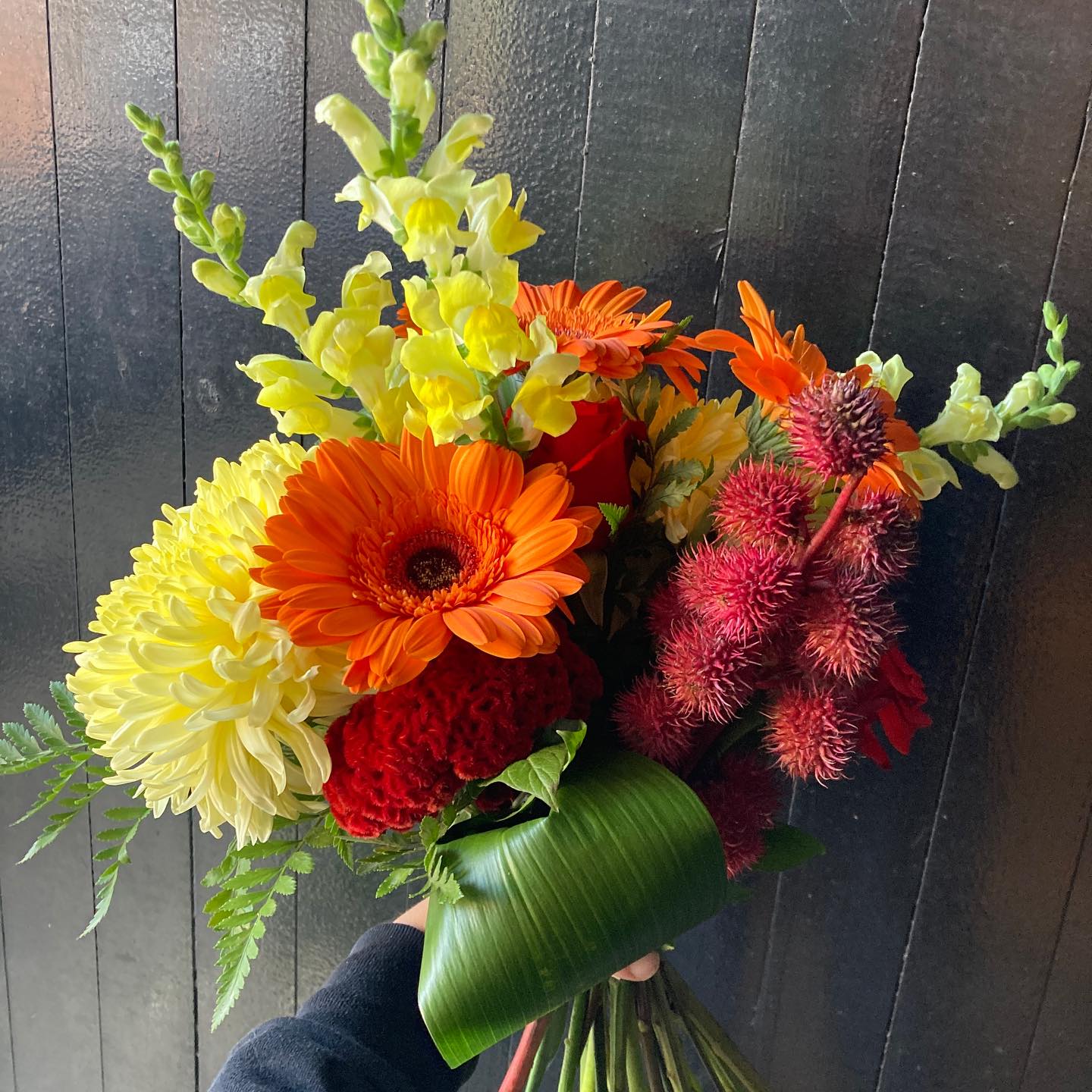 Ethical Florist's Choice Fresh Flowers - Bouquets & Vase Arrangements