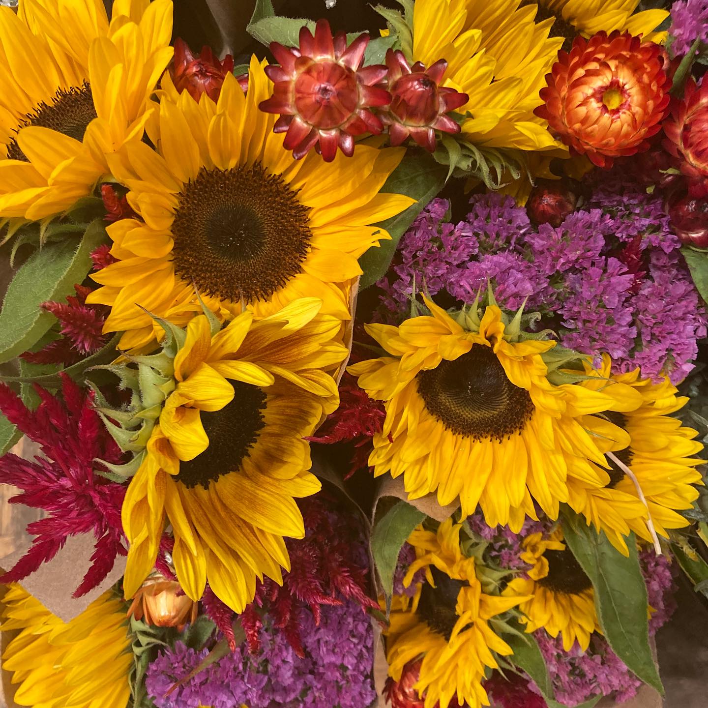 Ethical Florist's Choice Fresh Flowers - Bouquets & Vase Arrangements