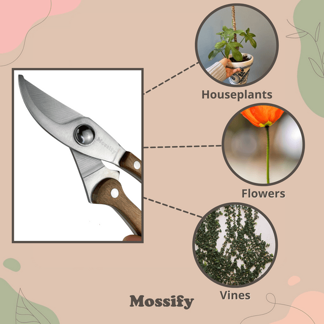Stainless Steel Garden Utility Shears