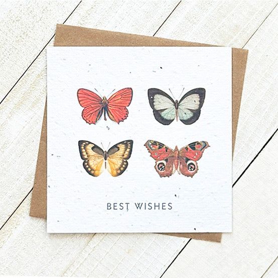 Best Wishes Butterflies Plantable Greeting Card