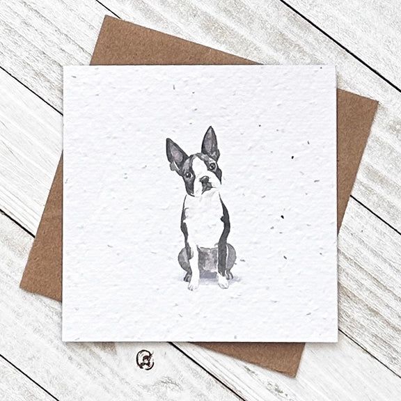 Boston Terrier Plantable Greeting Card