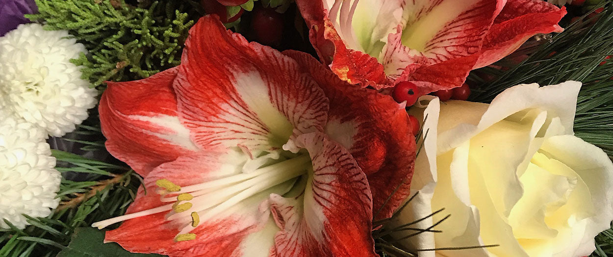 Christmas Fresh Flower Delivery Toronto