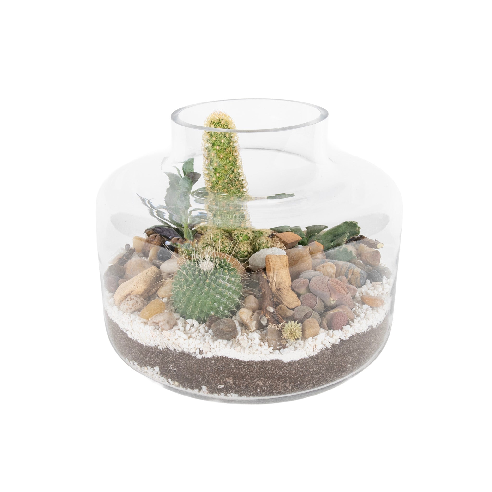 Horizon Desert Glass Terrariums