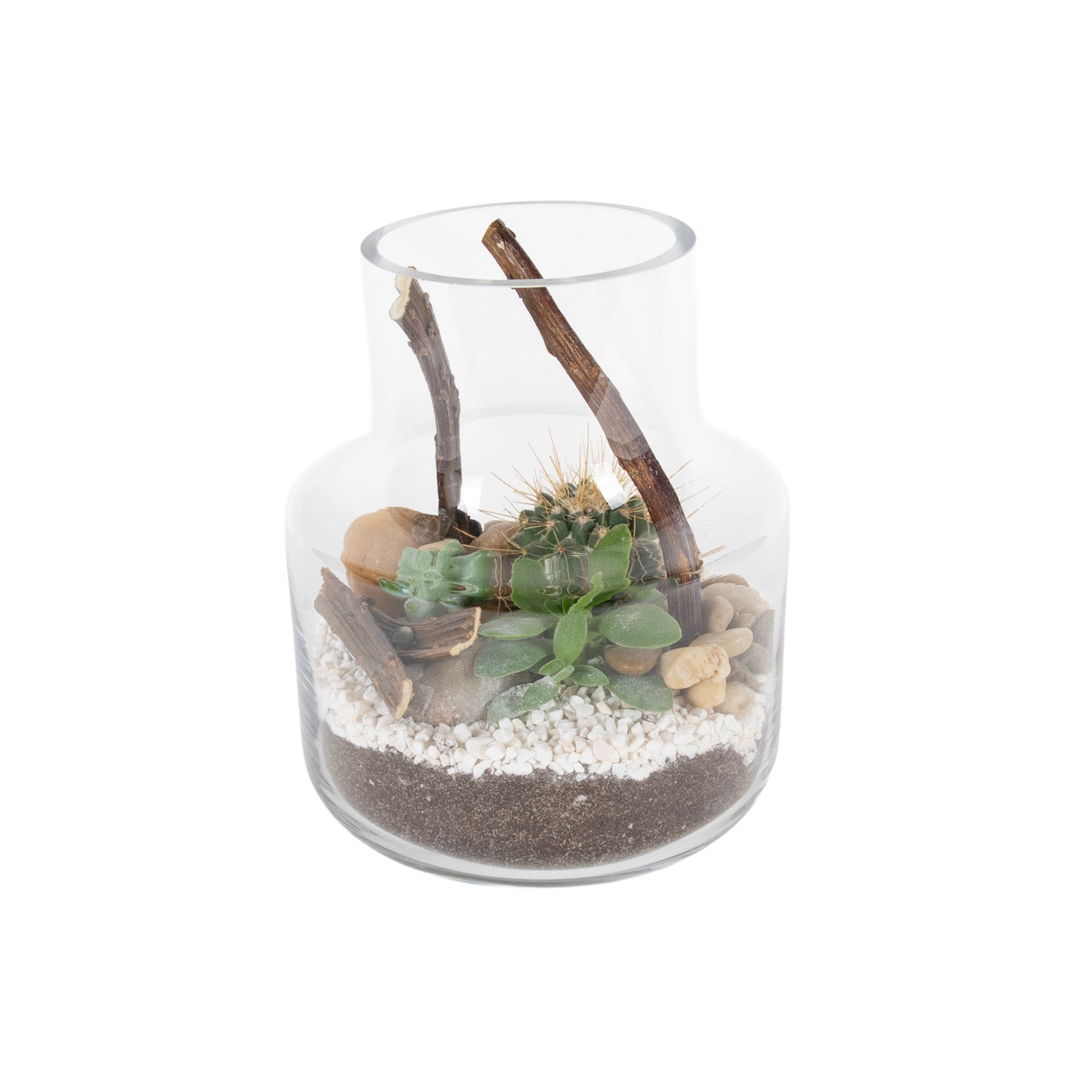 Horizon Desert Glass Terrariums