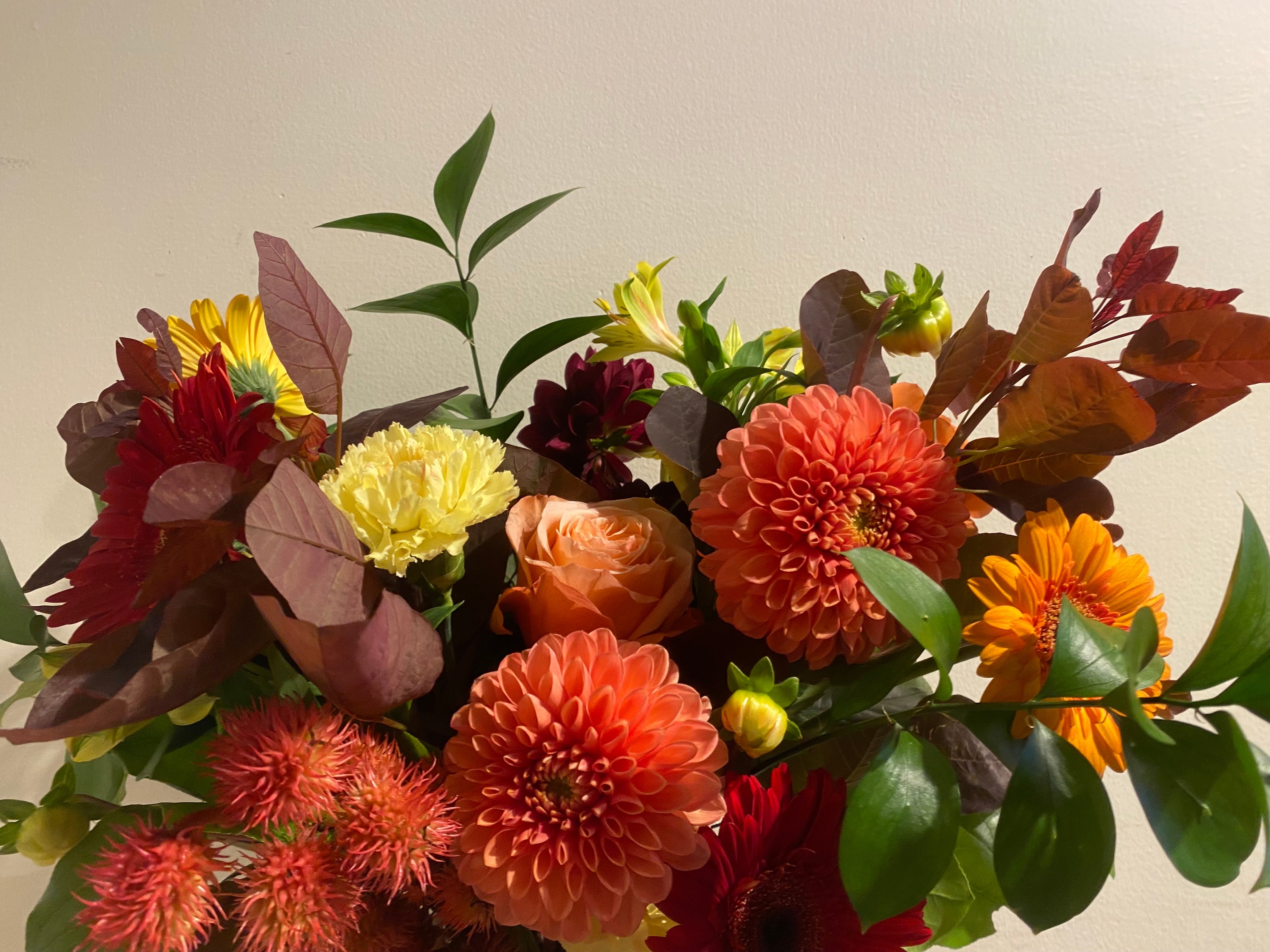 Ethical Florist's Choice Fresh Flowers - Bouquets & Vase Arrangements