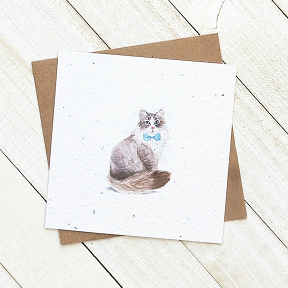 Bowtie Cat Plantable Greeting Card