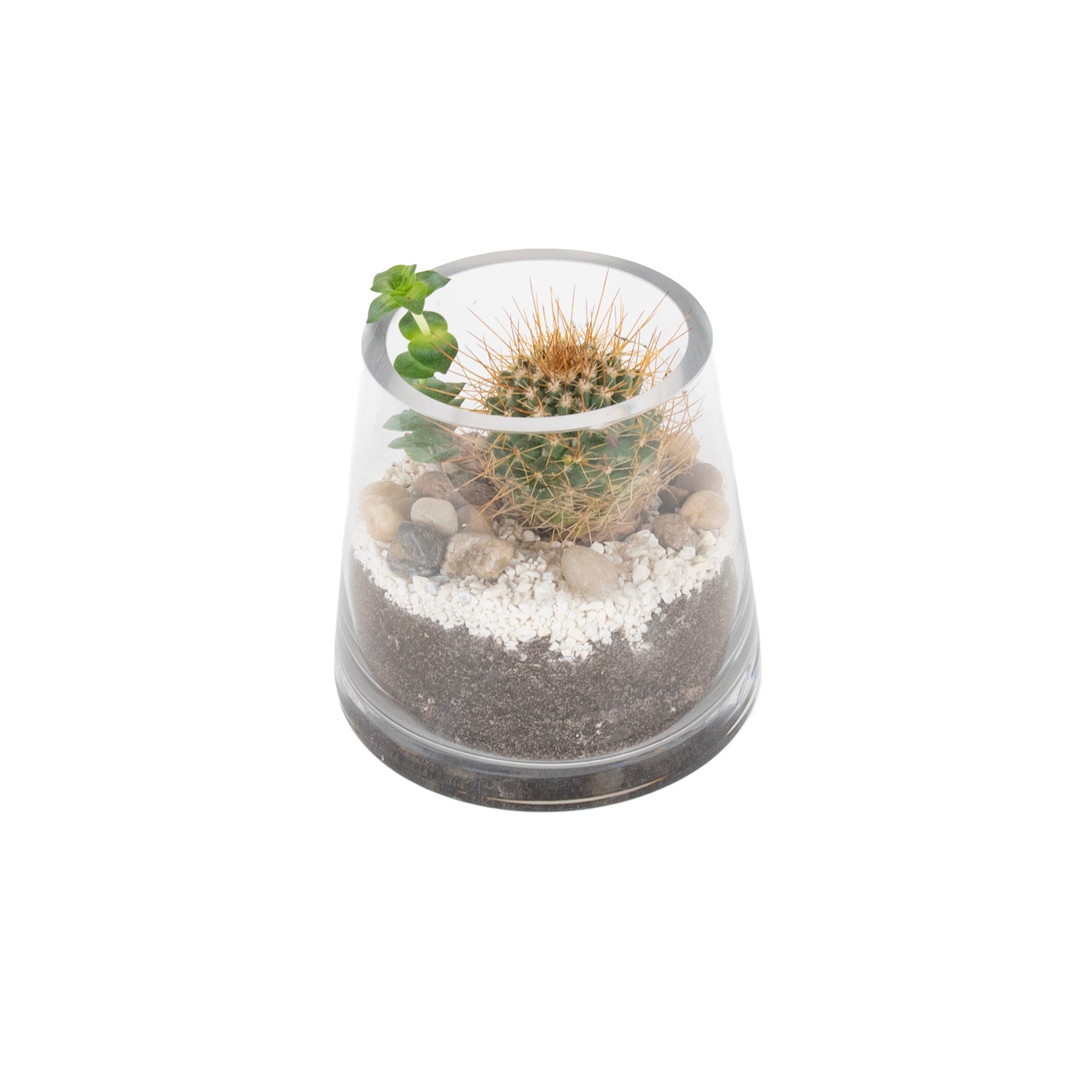 Pyramid Desert Glass Terrariums