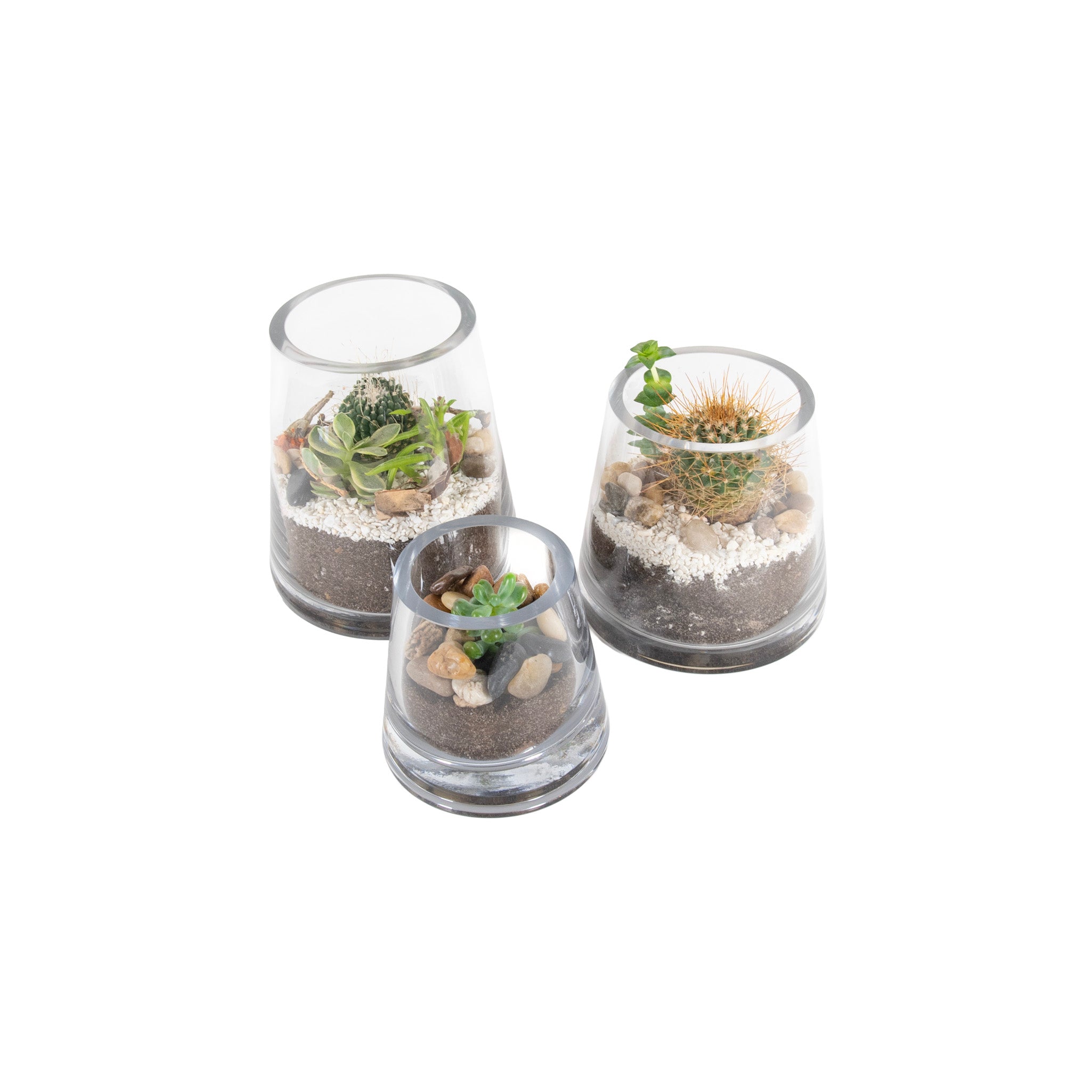 Pyramid Desert Glass Terrariums