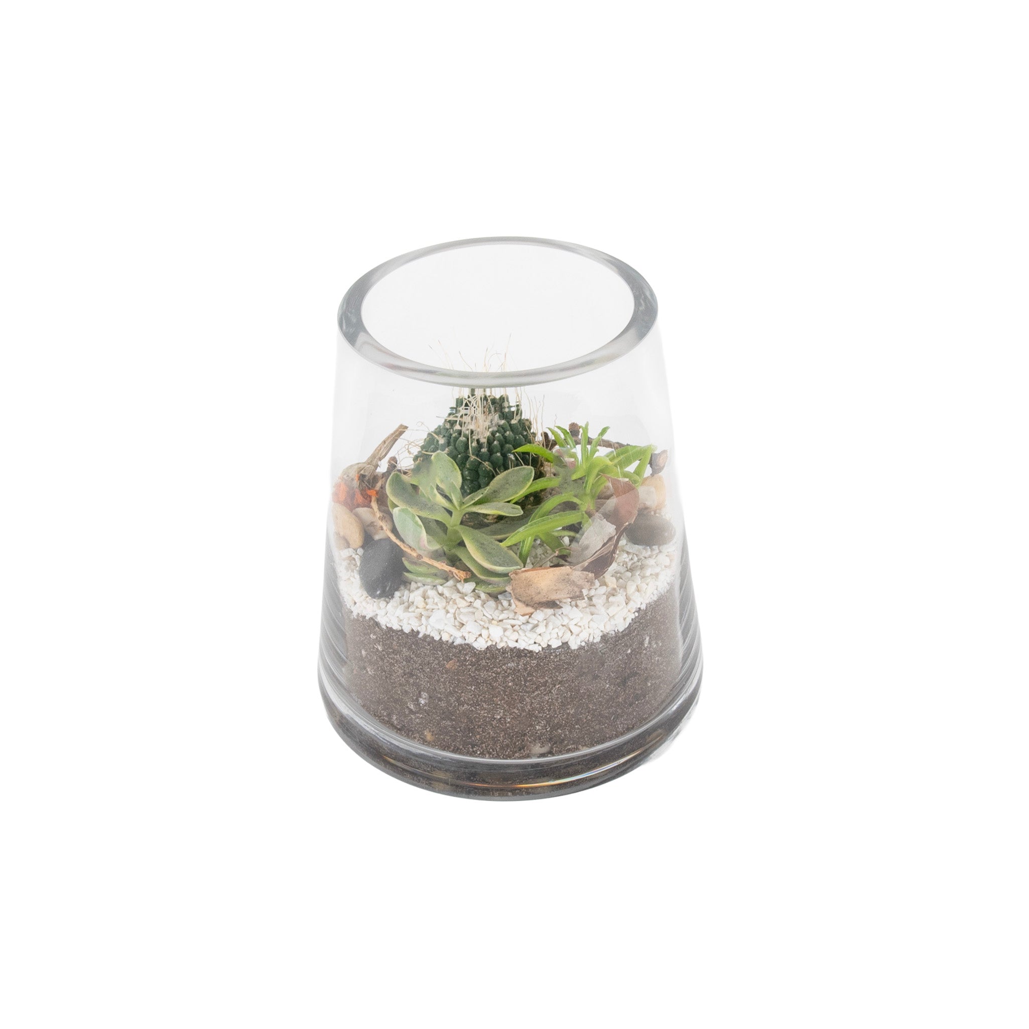 Pyramid Desert Glass Terrariums