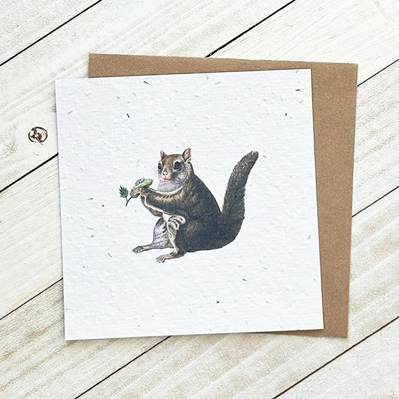 Squirrel Plantable Greeting Card