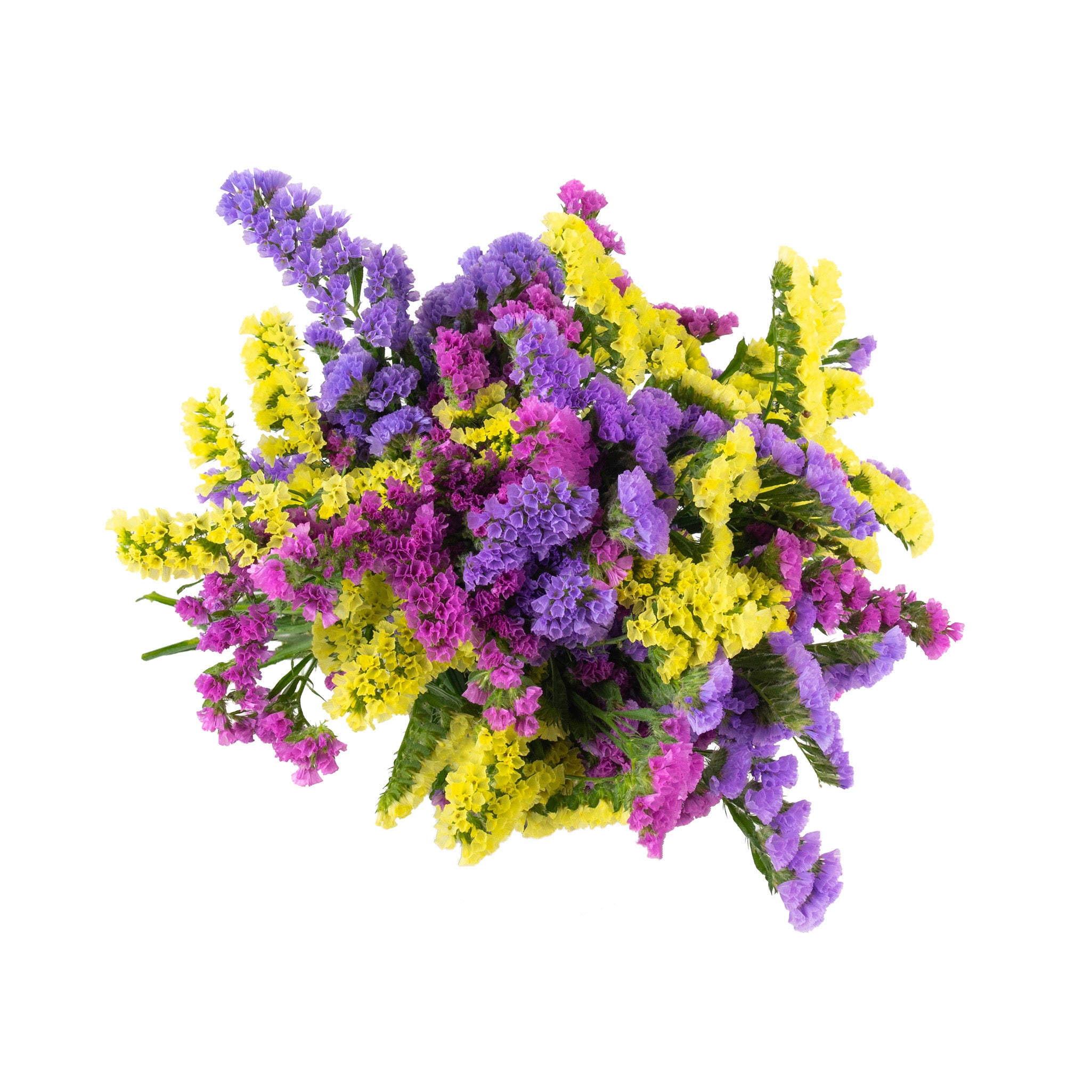 Statice Fresh Flowers - Bouquets & Vase Arrangements