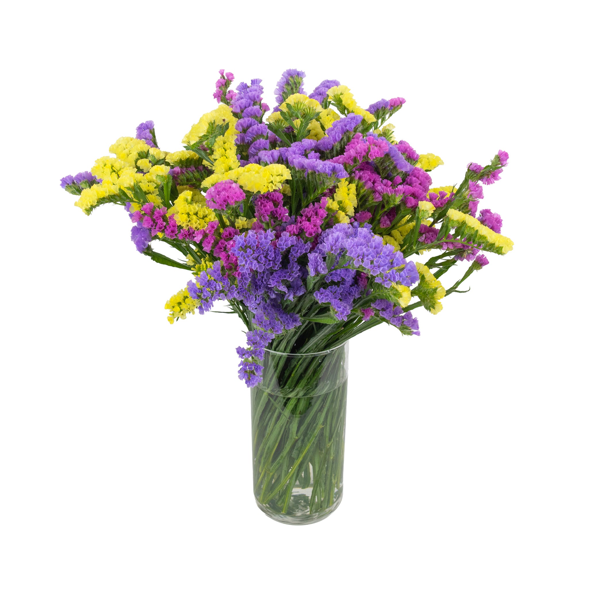 Statice Fresh Flowers - Bouquets & Vase Arrangements