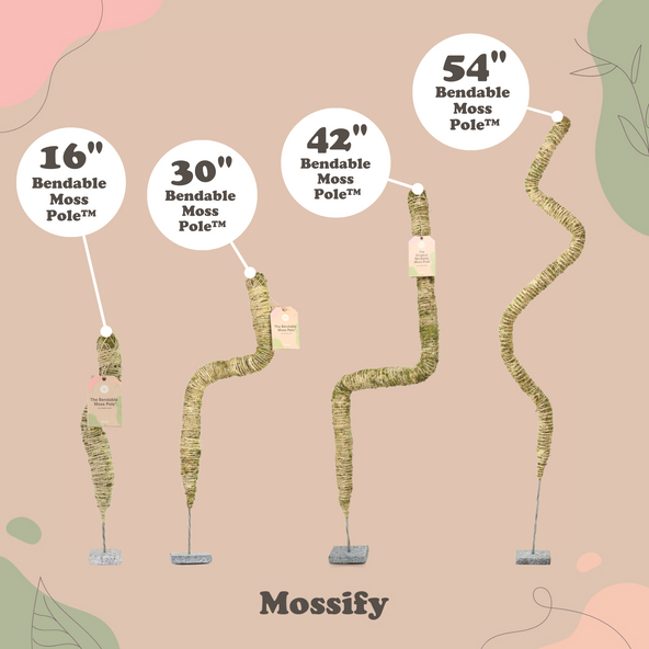 Bendable Moss Pole (Pins Included)